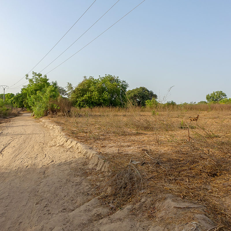 Project site to design a Children's House in Africa